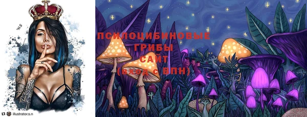 гашик Белоозёрский