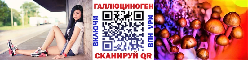 Псилоцибиновые грибы Psilocybine cubensis  мориарти Telegram  Куйбышев  цена наркотик 
